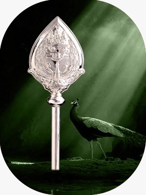 WhatsApp Image 2026-01-02 at 5.18.58 PM (1)